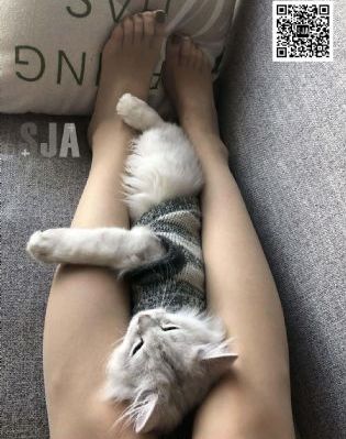 韩国年轻的阿姨