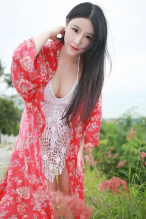 爱情公寓4 在线观看免费